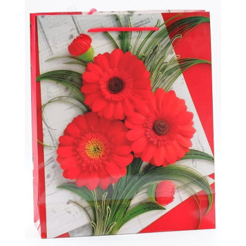 Пакет подарочный 32*26*10 бумага F-3-1