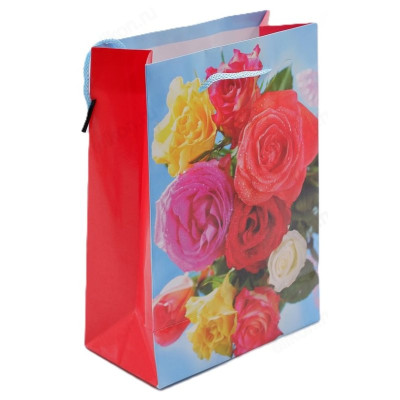 Пакет подарочный 20*14*7 бумага F-5-4