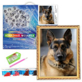 Мозаика алмазная GA73758 Овчарка