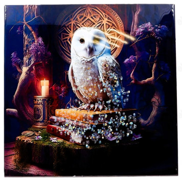 Картина с Кристаллами КК39/39 39*39-14