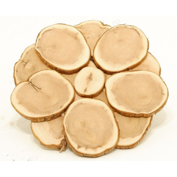 Подставка под горячее срезы можжевельник-1