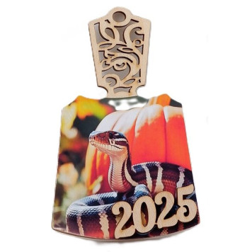 Магнит МЗ-158800 Доска Змея 2025 дерево