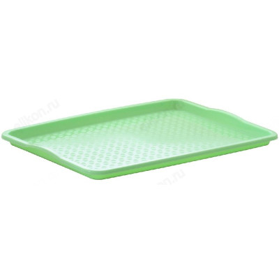 Поднос пластик 445*345*26 мятный-1