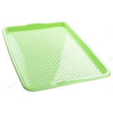 Поднос пластик 445*345*26 мятный