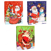 Пакет подарочный 23*30, Р10790-52 Новый год