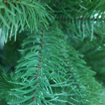 Ель СЕ/2326 180см-4