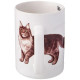 Кружка LEFARD Maine coon 260-933