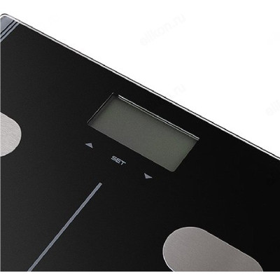 Весы напольные Leran EDS Fitness Line Dark/Modern, диагностические-2