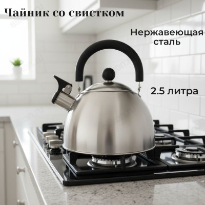 Чайник для плиты со свистком MALLONY MAL-039-MP 2,5л индук
