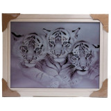 Картина 5D DS835/110 №110 36*46 "Тигрята"