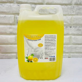 Средство для мытья посуды PURITY PRO "Лимон" 5 л канистра