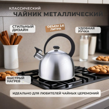 Чайник для плиты со свистком OPERA 2,5л 005178