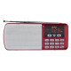 Радиоприёмник цифровой Perfeo Егерь i120-RED