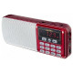 Радиоприёмник цифровой Perfeo Егерь i120-RED