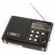 Радиоприемник Perfeo Sound Ranger PF-SV922, Black