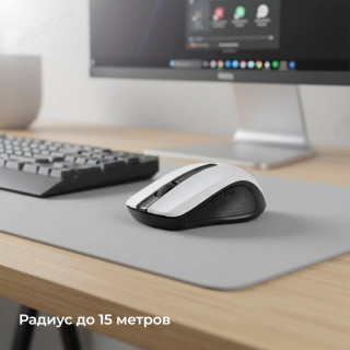 Мышь беспроводная Perfeo "RAINBOW" PF_3435 чёрн-бел