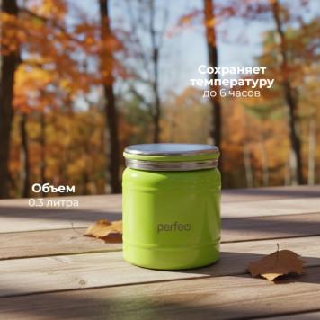 Термос металл PERFEO 0,3 л., нержавеющая сталь (PF_D0209)