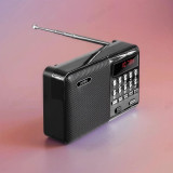 Радиоприемник цифровой Perfeo PALM Next PF_D0566 чер