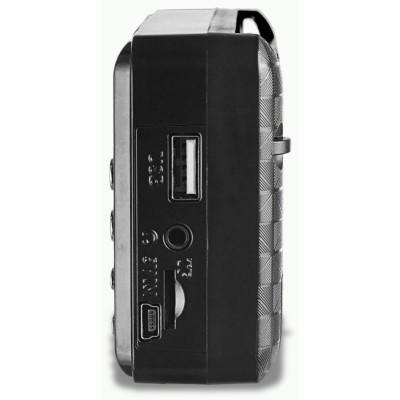 Радиоприемник цифровой Perfeo PALM Next PF_D0566 чер-2