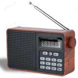 Радиоприемник цифровой Perfeo ALPINIST PF_D0573 корич.