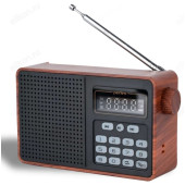 Радиоприемник цифровой Perfeo ALPINIST PF_D0573 корич.