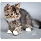 Коврик для мыши PERFEO Cat рис.20 Коврик для мыши PERFEO Cat рис.20