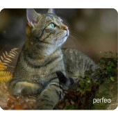 Коврик для мыши PERFEO Cat рис.27 PF_D0671 Коврик для мыши PERFEO Cat рис.27 PF_D0671