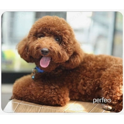 Коврик для мыши PERFEO Dog Рис.1 PF_E1687