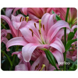 Коврик для мыши PERFEO Цветы Рис 5 PF_E1769