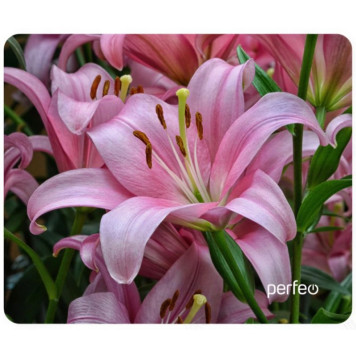 Коврик для мыши PERFEO Цветы Рис 5 PF_E1769