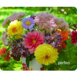 Коврик для мыши PERFEO Цветы Рис 6 PF_E1770