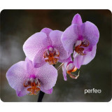 Коврик для мыши PERFEO Цветы Рис 7 PF_E1771