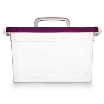 Контейнер д/хранения С 810 ПЛАСТИК С810-1