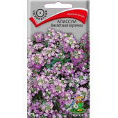 Алиссум Фиолетовая королева Поиск 087007 Алиссум Фиолетовая королева Поиск 087007