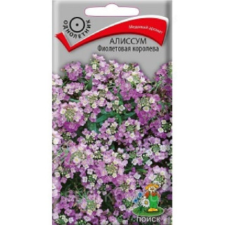 Алиссум Фиолетовая королева Поиск 087007