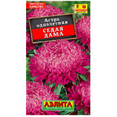 Семена астра Седая дама 0,3г Аэлита 110122 Семена астра Седая дама 0,3г Аэлита 110122