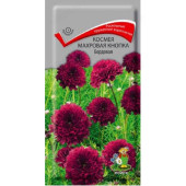 Семена космея Махровая Кнопка Бордовая (0,1г) Поиск 153177 Семена космея Махровая Кнопка Бордовая (0,1г) Поиск 153177