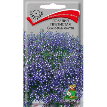 Лобелия Сине-белый фонтан Поиск 206170