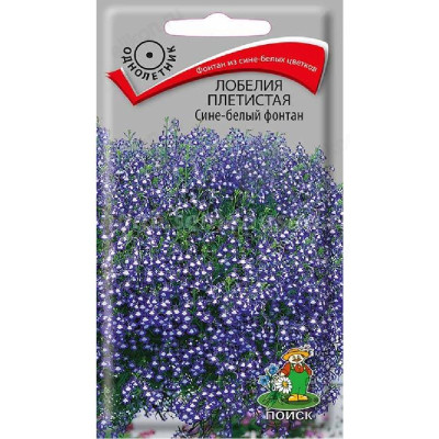Лобелия Сине-белый фонтан Поиск 206170