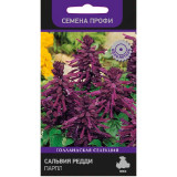 Сальвия Редди Парпл Поиск 218104