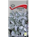 Цинерария Снежок Поиск 222415