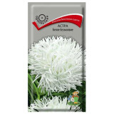 Семена астра Белое безмолвие 0,3г Поиск