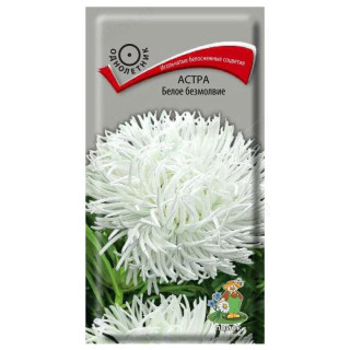 Семена астра Белое безмолвие 0,3г Поиск