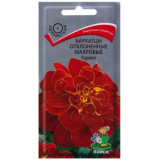 Семена бархатцы Кармен 200% 0,6г Поиск