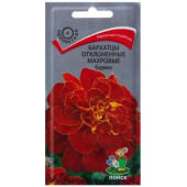 Семена бархатцы Кармен 200% 0,6г Поиск Семена бархатцы Кармен 200% 0,6г Поиск