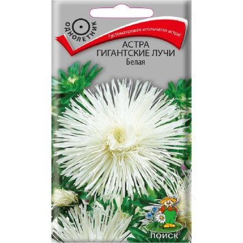 Семена астра Гигантские лучи белая 0,3г Поиск