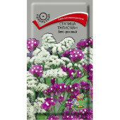 Семена статица Талисман розово-синий смесь 0,1г Поиск Семена статица Талисман розово-синий смесь 0,1г Поиск