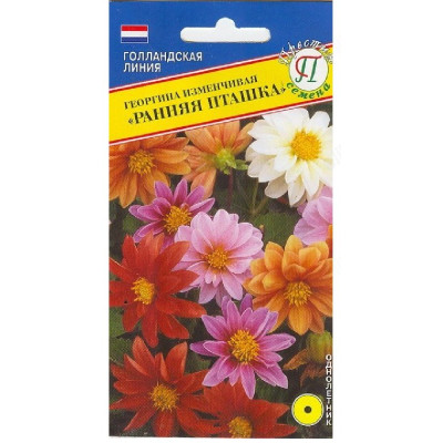 Семена георгина Ранняя пташка 20шт Престиж