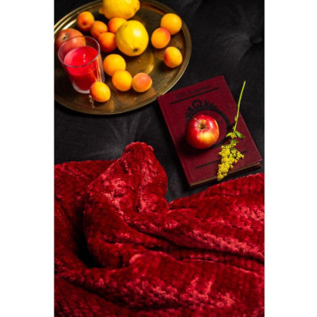 Плед PROVANCE 180*200см 486-074-4