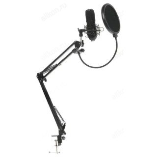 Микрофон Ritmix RDM-169, черный-1